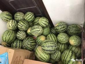 新洲网红吃瓜视频,揭秘网络热点背后的真相