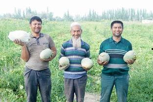 吃瓜网24小时,热点事件盘点，揭秘娱乐圈幕后真相