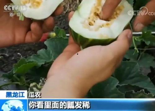 吃瓜网的东西是真的吗,真相还是谣言？